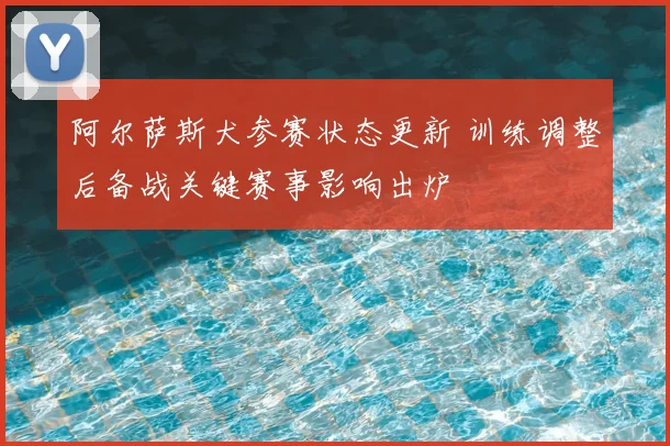 阿尔萨斯犬参赛状态更新 训练调整后备战关键赛事影响出炉