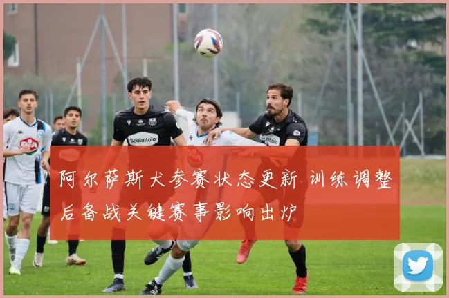 阿尔萨斯犬参赛状态更新 训练调整后备战关键赛事影响出炉