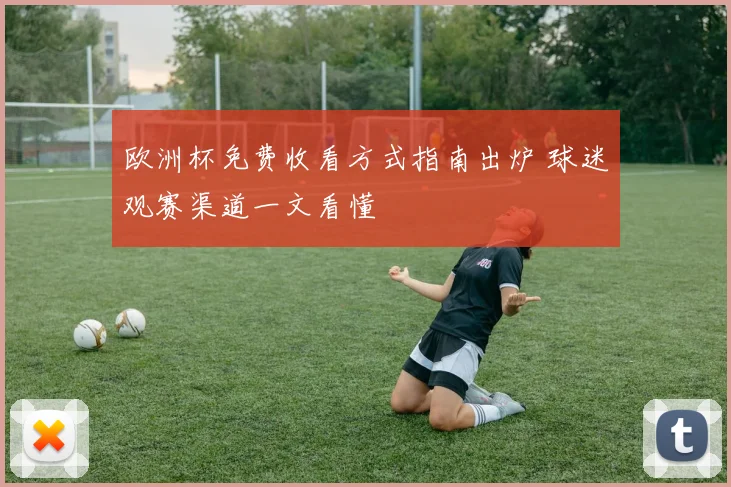 欧洲杯免费收看方式指南出炉 球迷观赛渠道一文看懂