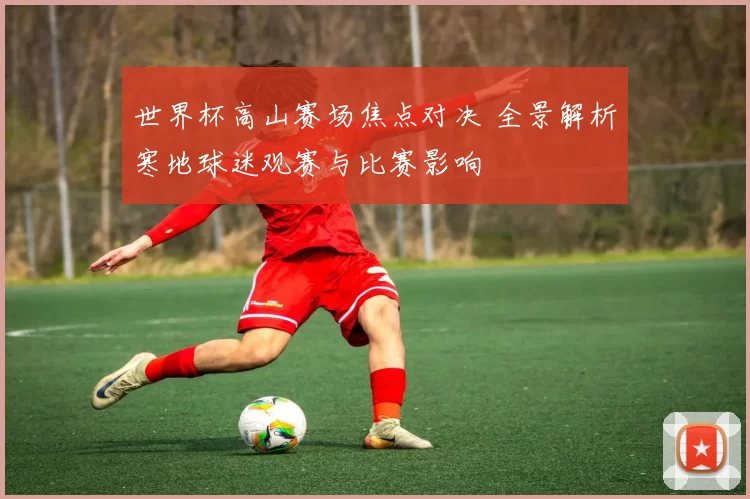 世界杯高山赛场焦点对决 全景解析寒地球迷观赛与比赛影响