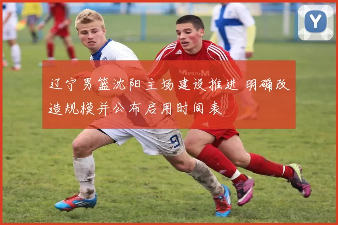 辽宁男篮沈阳主场建设推进 明确改造规模并公布启用时间表
